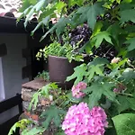 Hdec De Castaneda Turistico Tatil Evi Puente Viesgo