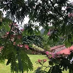 Hdec De Castaneda Turistico Tatil Evi