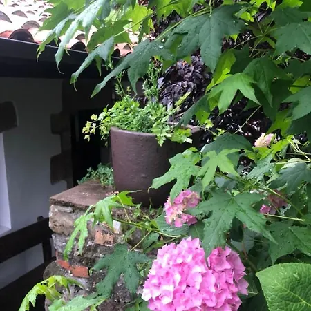 Hdec De Castaneda Turistico Casa de Férias Puente Viesgo